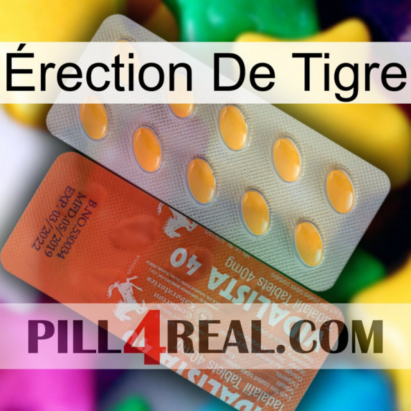 Érection De Tigre 43